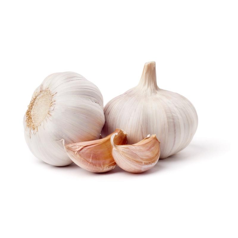 Fresh Garlic buy wholesale - company Superlative Enterprises | India