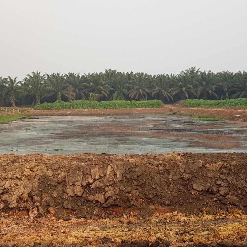 Palm Acid Oil (PAO) buy wholesale - company Pesud Abadi Mahakam | Indonesia