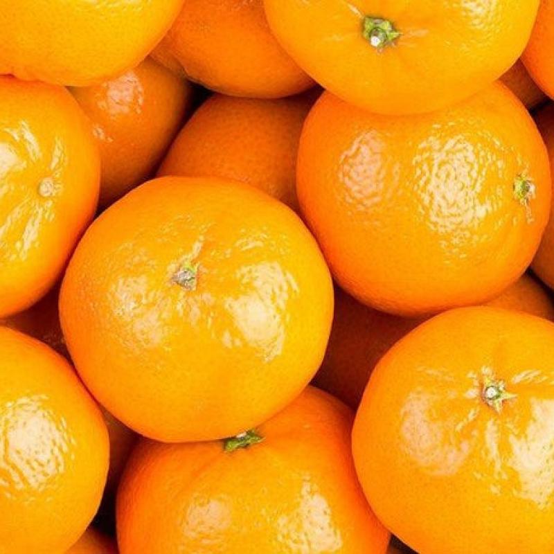 Апельсины купить оптом - компания mahr & mahrs | Пакистан
