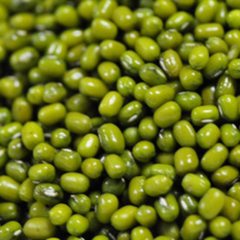 Ethiopian Mung Beans buy wholesale - company Guaya markating consultant and branding firm | Ethiopia