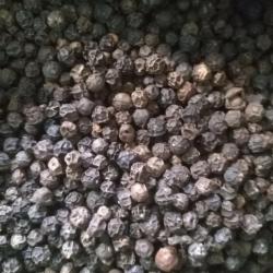 Black Pepper buy on the wholesale