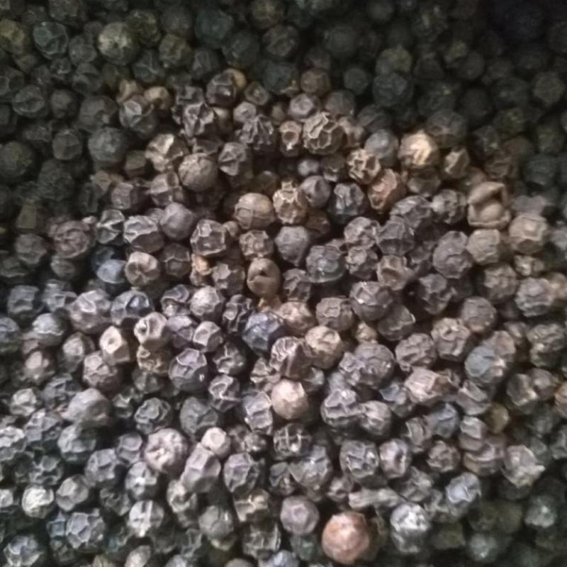 Black Pepper buy wholesale - company RFG Export Madagaskar | Madagascar
