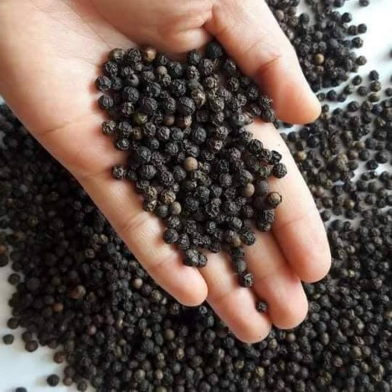 Black Pepper buy wholesale - company RFG Export Madagaskar | Madagascar