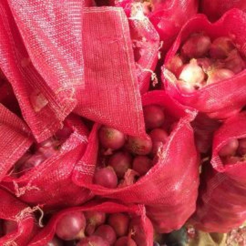 Красный лук купить оптом - компания Nadia General Trading | Пакистан
