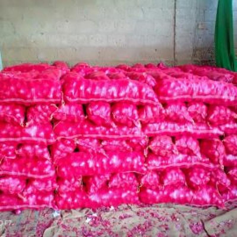 Красный лук купить оптом - компания Nadia General Trading | Пакистан