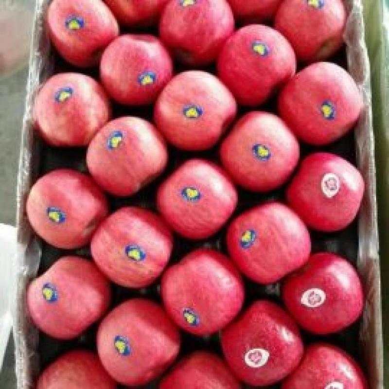 Apples buy wholesale - company Nadia General Trading | Pakistan