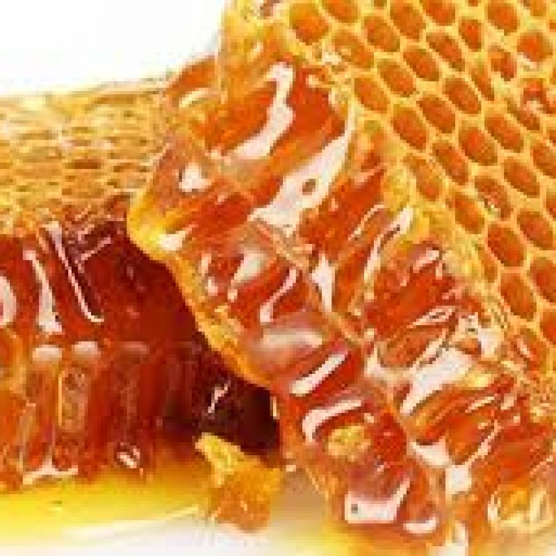 Мангровый мед диких пчел купить оптом - компания ecolux international | Бангладеш