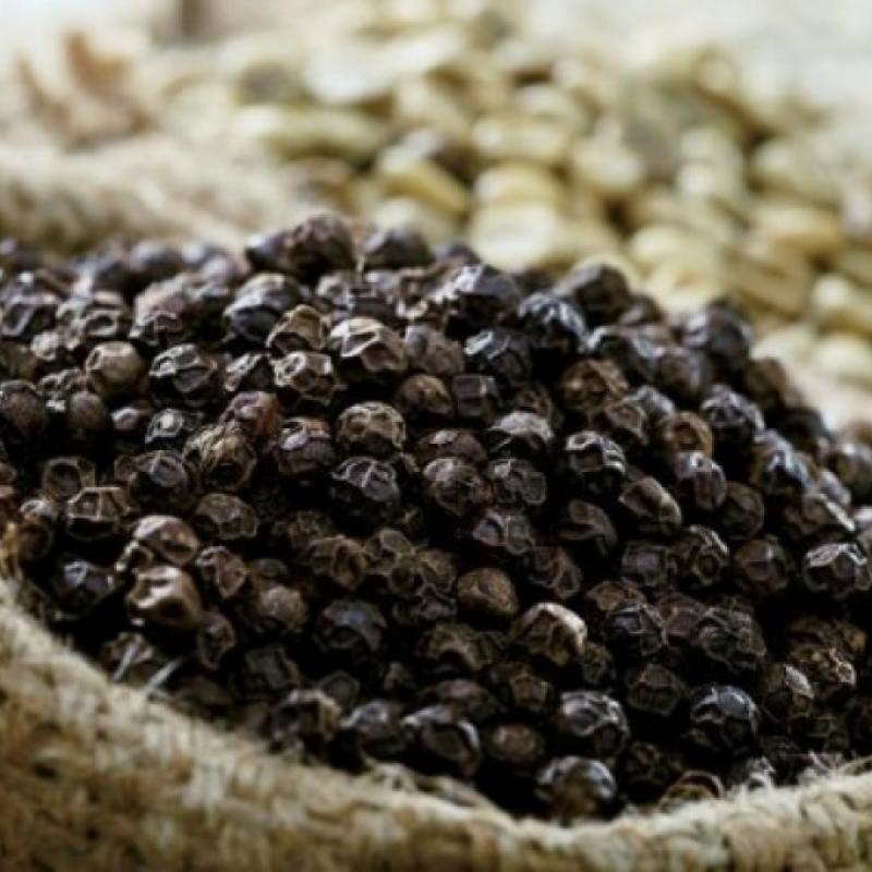 Black Pepper buy wholesale - company Song Duong International Company Limited | Vietnam