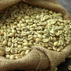 Arabica and Robusta Coffee Beans buy on the wholesale