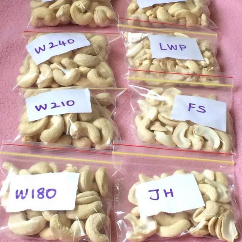 Cashew Nuts for sale buy wholesale - company Global Services Group | Cameroon