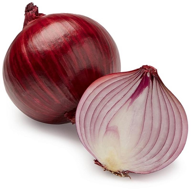 Red Onion buy wholesale - company Rustam Enterprises | Pakistan