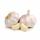 Garlic buy wholesale - company Rustam Enterprises | Pakistan