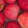 Яблоки купить оптом - компания AHER EXPORT | Индия