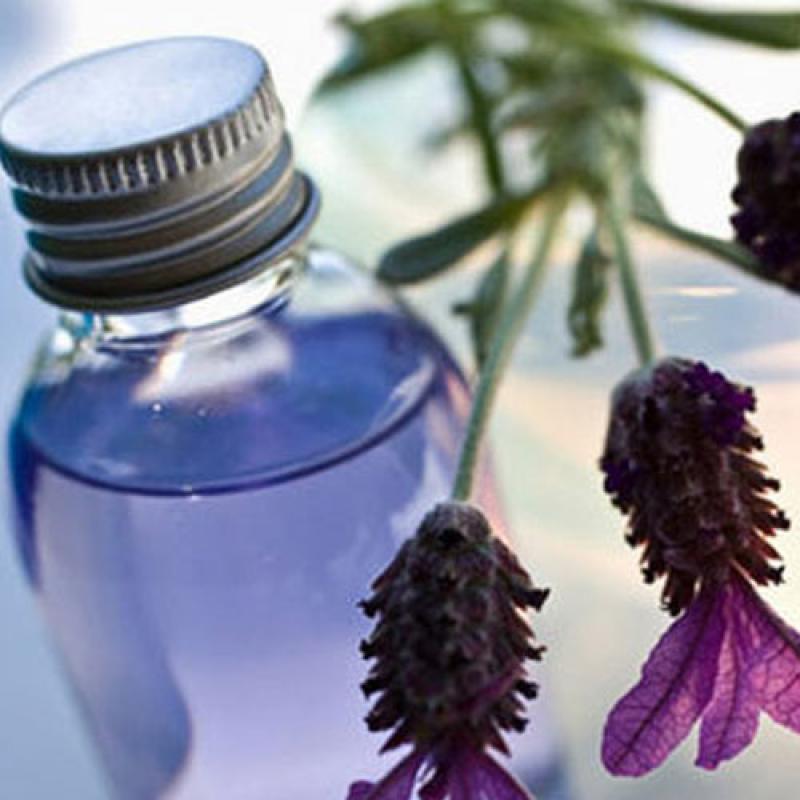 Lavender Oil  buy wholesale - company Aromas Hub | India