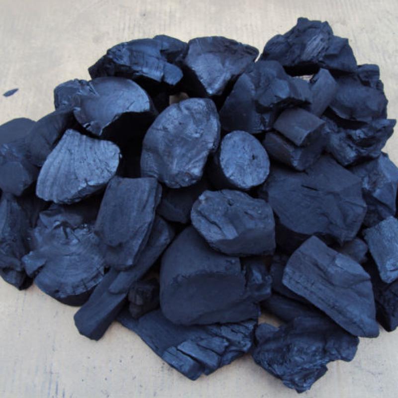 Argentinian Charcoal  buy wholesale - company Sonia Tanus | Argentina