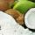 Сушеный кокос купить оптом - компания CV.Ekspertia Prima Globalindo | Индонезия