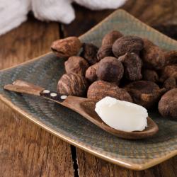 Shea Nut buy on the wholesale