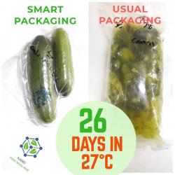 Smart Packaging Based on Nanotechnology buy on the wholesale