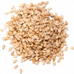 Sesame Seeds buy on the wholesale