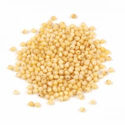 Millet buy on the wholesale
