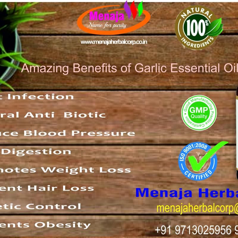 Эфирное чесночное масло Menaja  купить оптом - компания Menaja Herbal Corp | Индия
