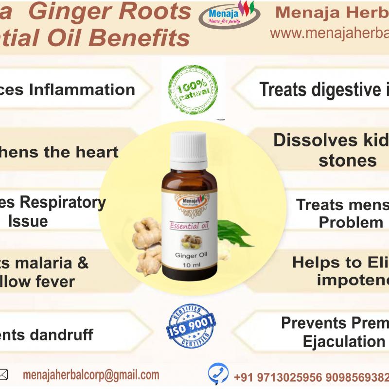 Menaja Ginger Essential Oil buy wholesale - company Menaja Herbal Corp | India