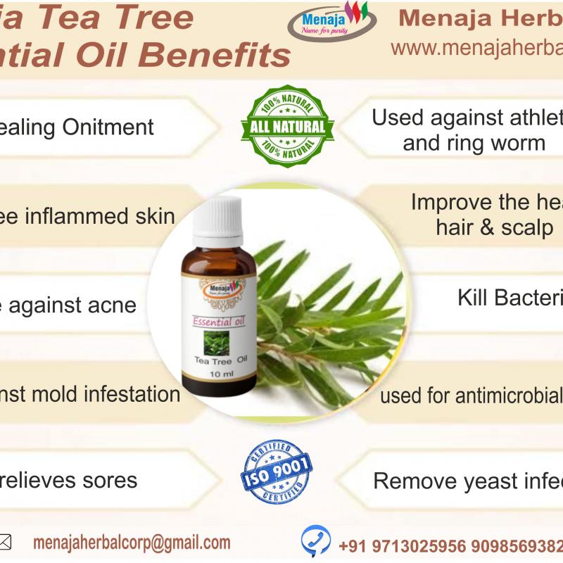 Эфирное масло чайного дерева Menaja  купить оптом - компания Menaja Herbal Corp | Индия