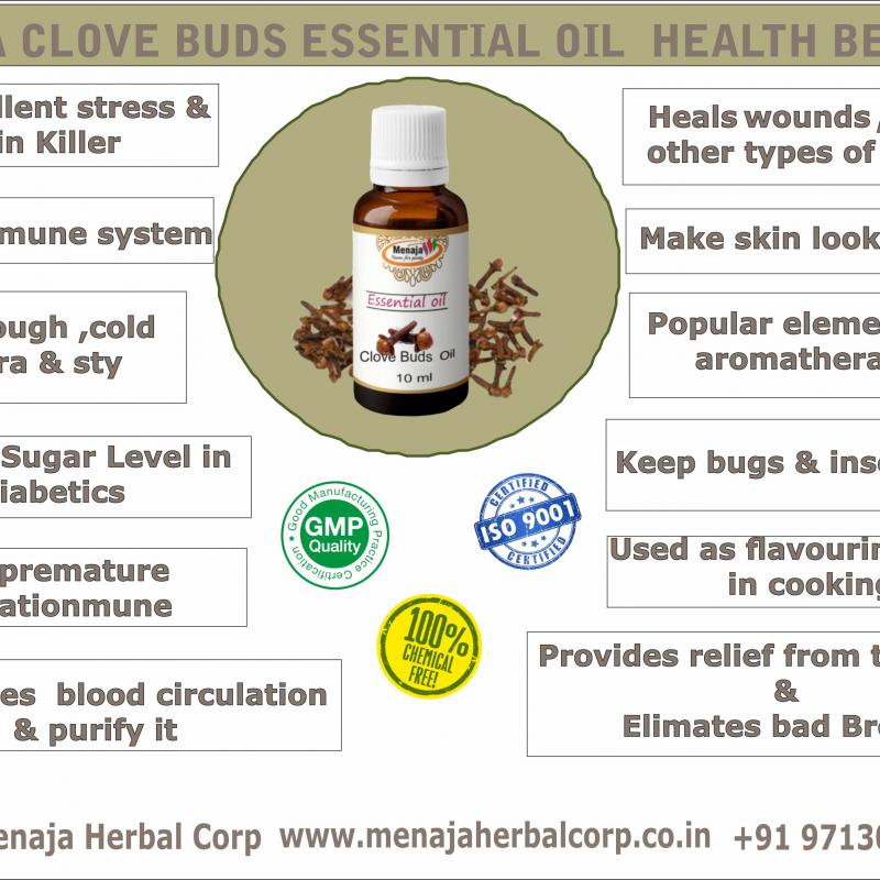 Menaja Clove Bud Essential Oil  buy wholesale - company Menaja Herbal Corp | India