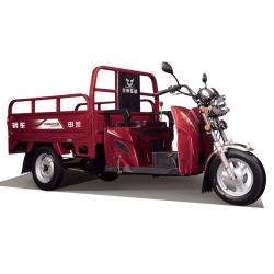 200cc Water Cooled Cargo Tricycles buy on the wholesale