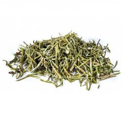 Rosemary buy on the wholesale