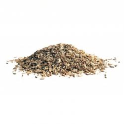Caraway Seeds buy on the wholesale