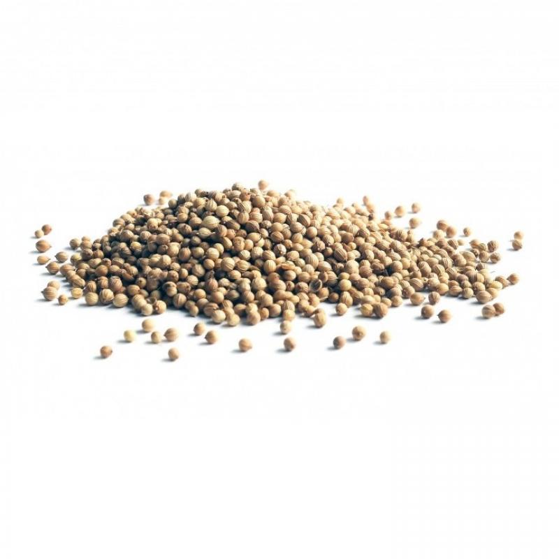 Coriander Seeds buy wholesale - company Caliph Trade | Hungary