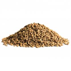 Fenugreek Seeds buy on the wholesale