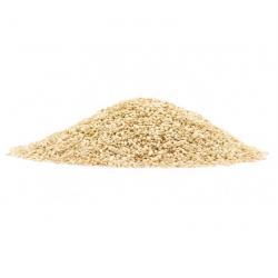 Sesame Seeds buy on the wholesale
