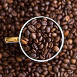 Arabica and Robusta Coffee Beans