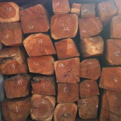 Wood  buy on the wholesale