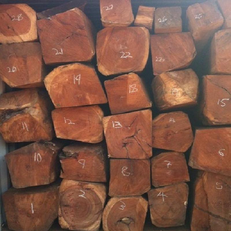 Wood  buy wholesale - company Great Commodity Group LTD | Cameroon