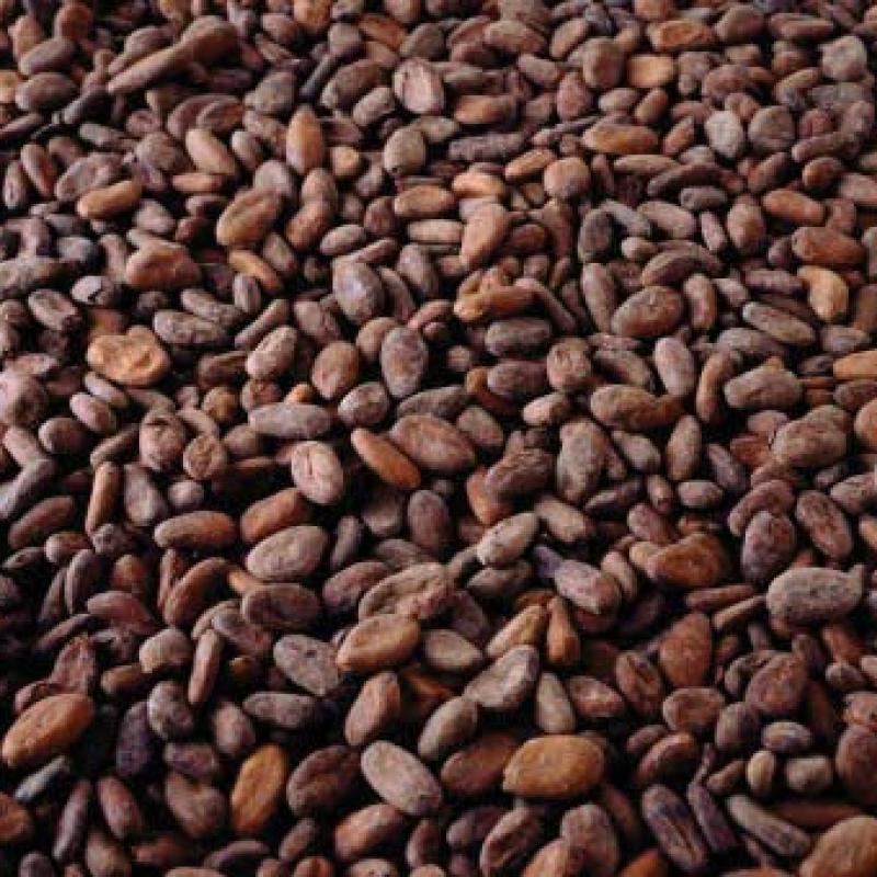 Сушеные какао-бобы  купить оптом - компания Great Commodity Group LTD | Камерун