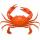Crabs buy wholesale - company ssv exports trading | India