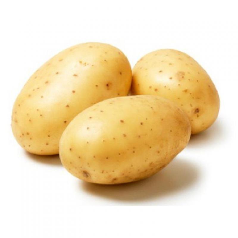 Potatoes buy wholesale - company ssv exports trading | India