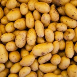 Potatoes buy on the wholesale