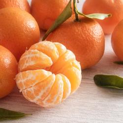 Tangerines buy on the wholesale