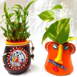 Handmade Terracotta Table Top Pot with Plants  buy on the wholesale