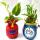Handmade Terracotta Table Top Pot with Plants  buy wholesale - company Karru Krafft | India