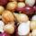 Onions buy wholesale - company OPERA MARKETING | India
