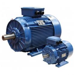 Induction Motors buy on the wholesale