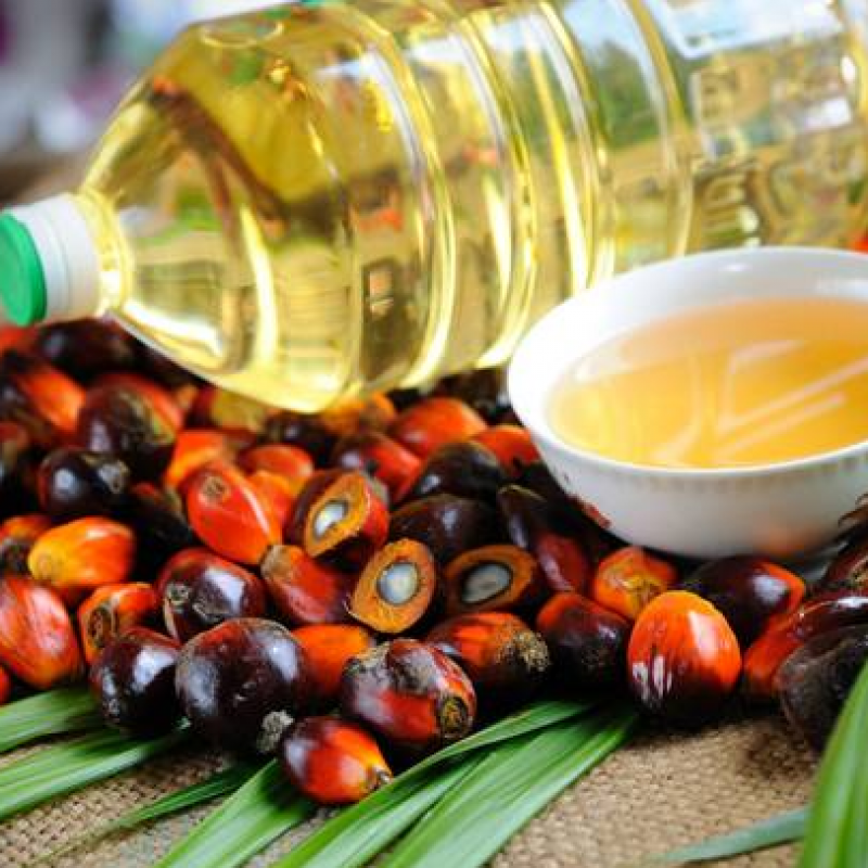 Пальмовое масло купить оптом - компания STEICA SRL | Тунис