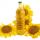 Sunflower Oil buy wholesale - company STEICA SRL | Tunisia