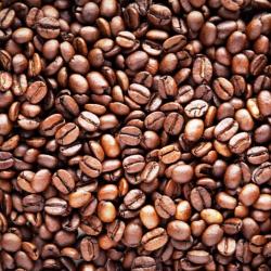 Coffee Beans buy on the wholesale