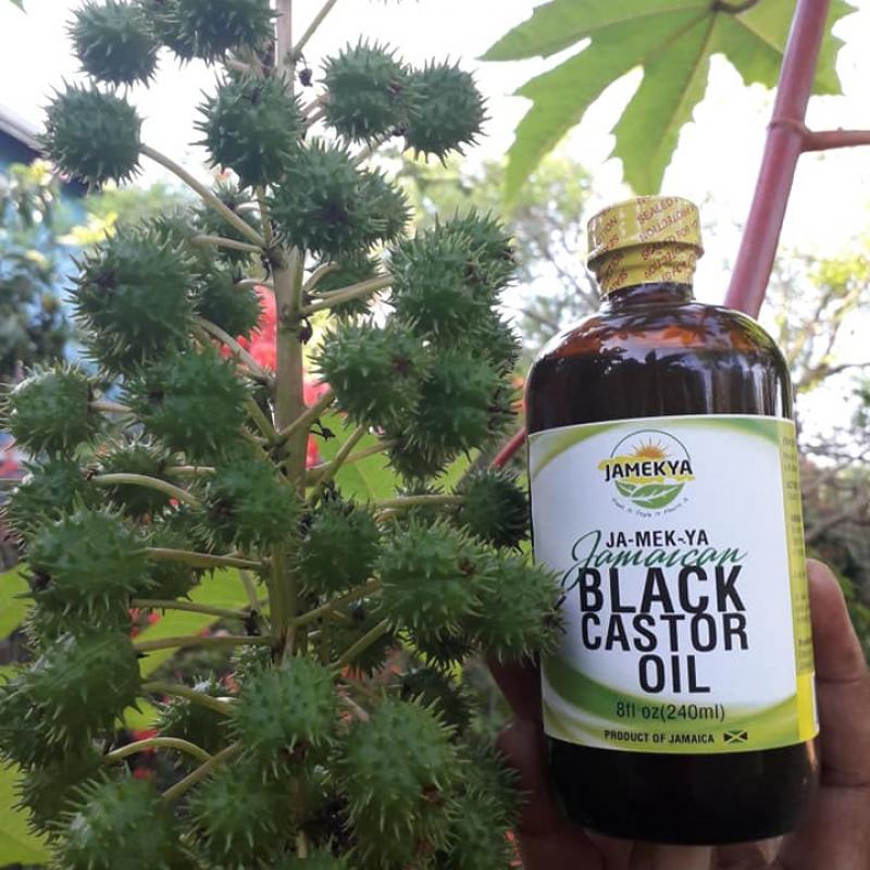 Касторовое масло (касторка) купить оптом - компания Jamekya Oils | Ямайка